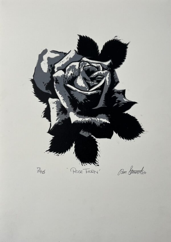 Rose Thorn by Ben Stewart