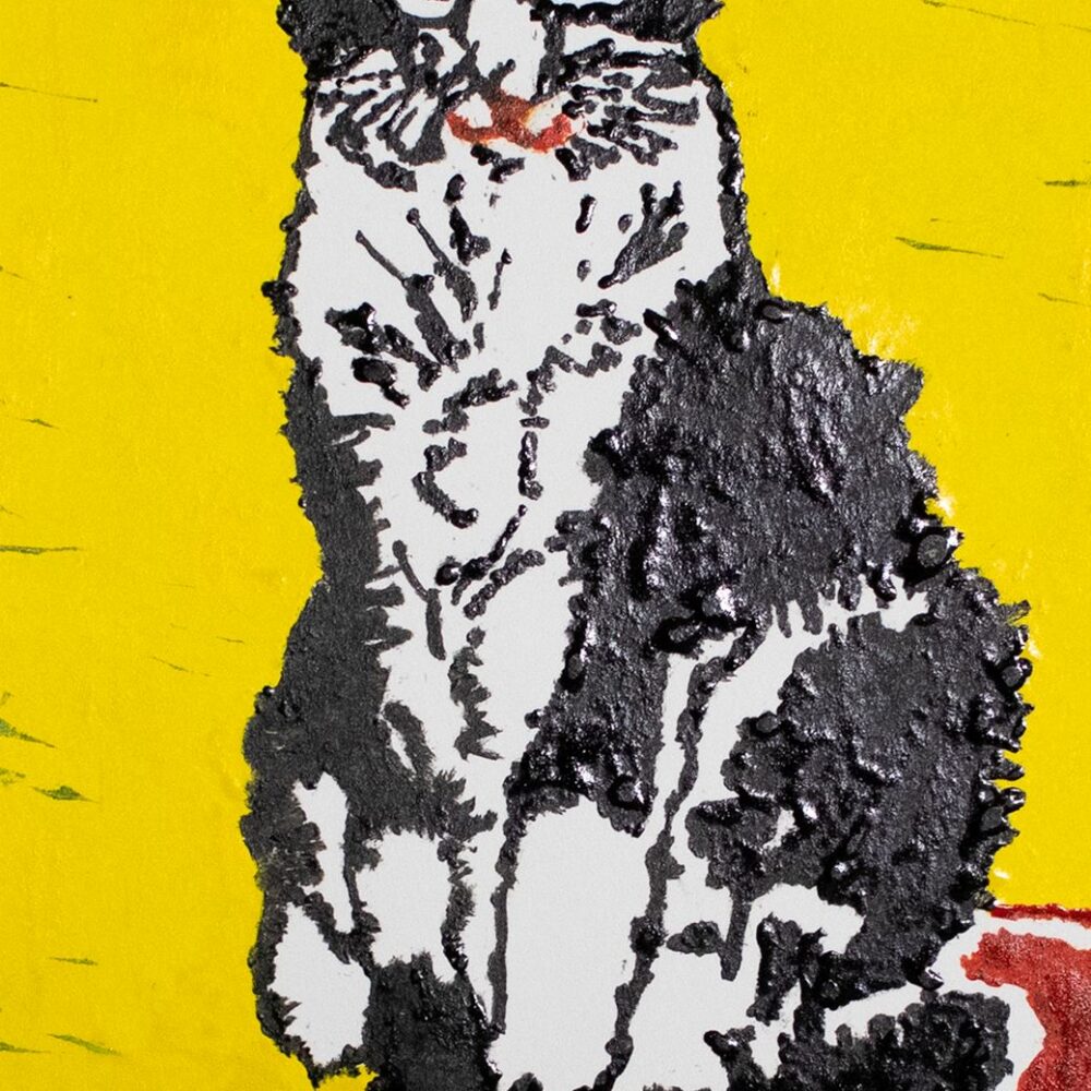 Smirky Salem by Haleigh Newth. Black and white cat sitting on a red table with yellow background