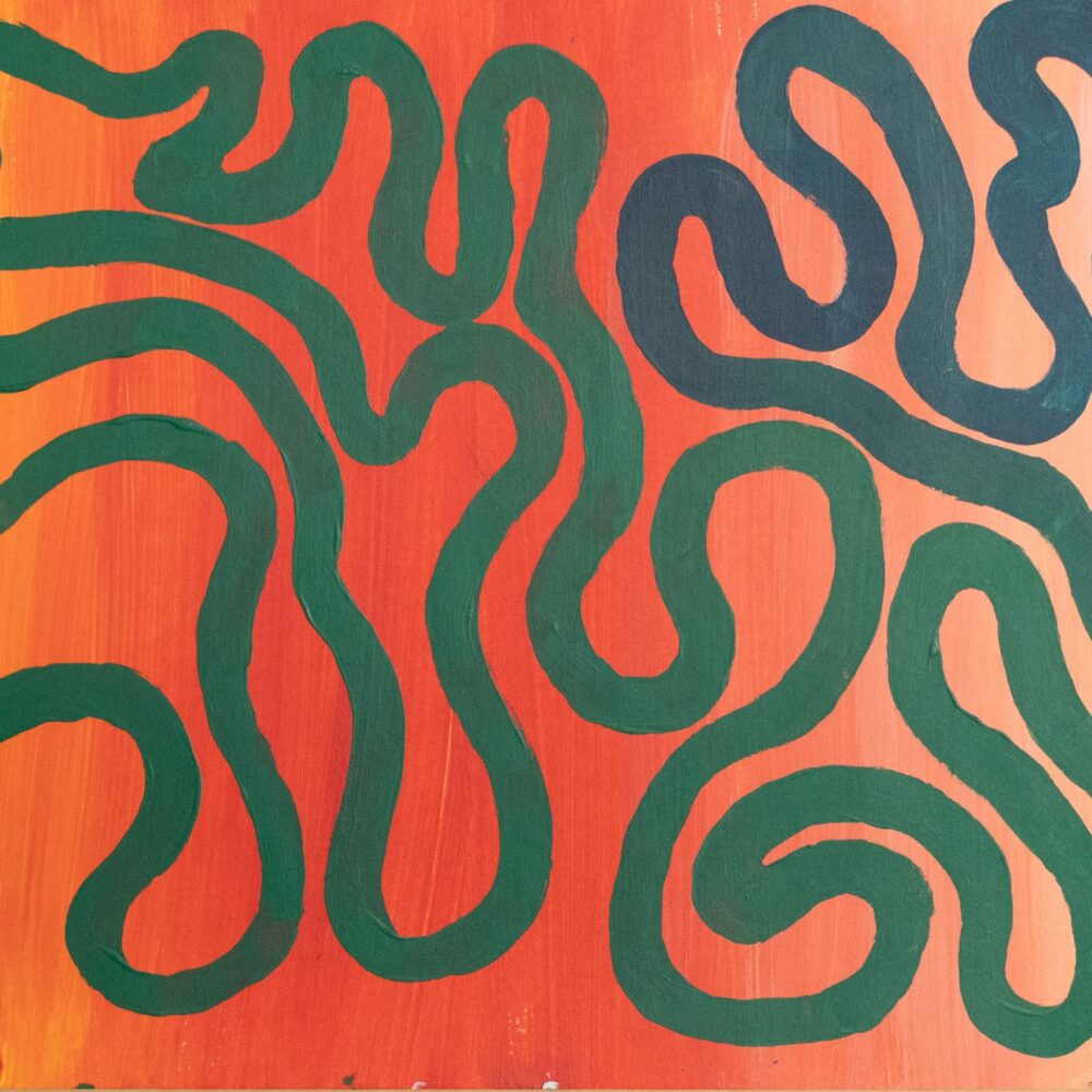 The winding path by Moose Wilson. Orange background with green and blue lines.